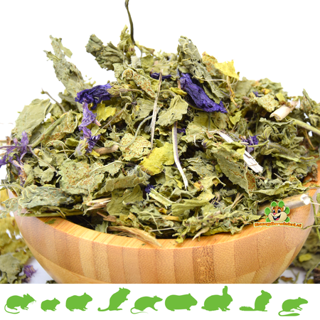 Hojas de malva secas 100 gramos ¡para roedores y conejos!