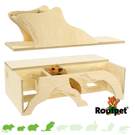 Rodipet Goldi Watchbox pour rongeurs !