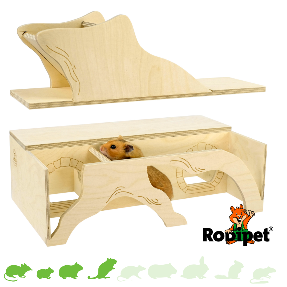 Hamsterscaping Goldi Watchbox dla gryzoni!