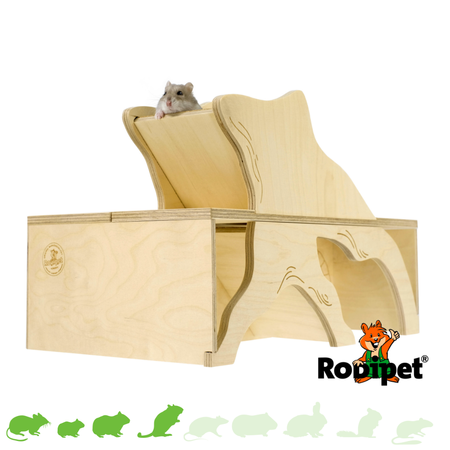 Rodipet Hamsterscaping Goldi Watchbox for Rodents!