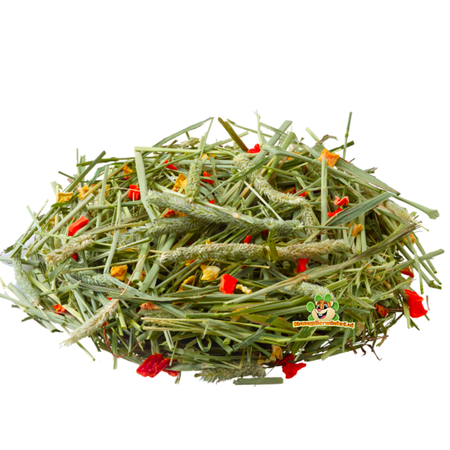 Versele-Laga Foin de fléole des prés Nature, carottes rouges et potiron, 500 grammes