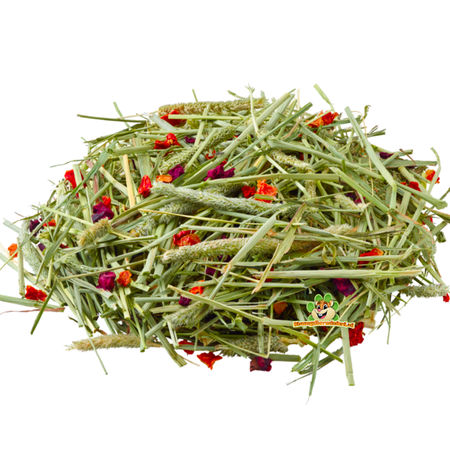 Versele-Laga Nature Timothy Hay Betterave rouge et tomate 500 grammes