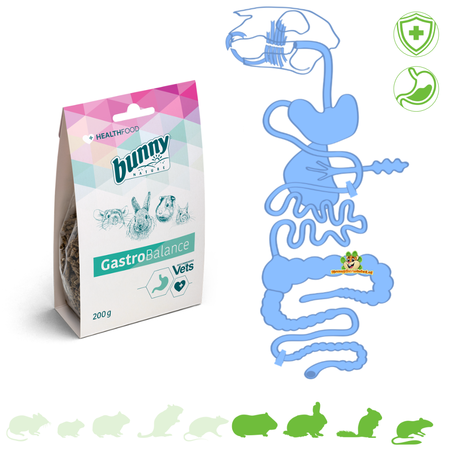 Bunny Nature Health Gastro Balance 200 grams for Rodents & Rabbits!