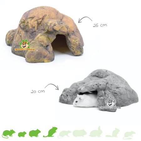 Cueva de roca