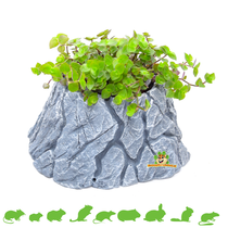 Hamsterscaping Plant Holder Rock 24 cm