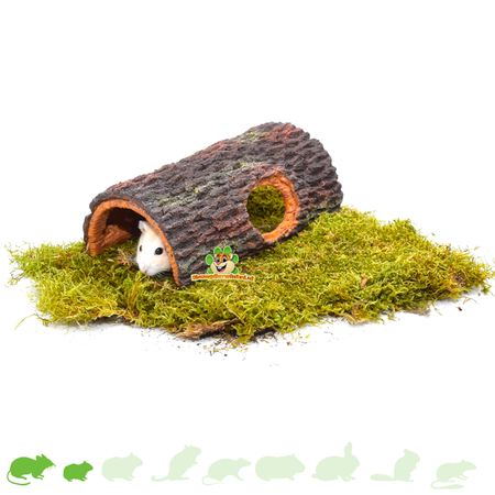 Brown tree trunk for hamsterscaping and gerbilscaping