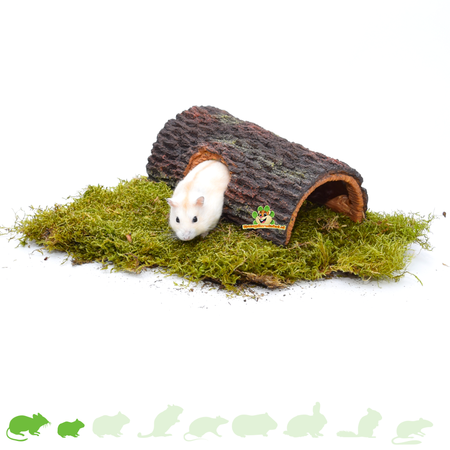 Boomstam Bruin voor hamsterscaping en gerbilscaping