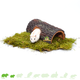Brown tree trunk for hamsterscaping and gerbilscaping