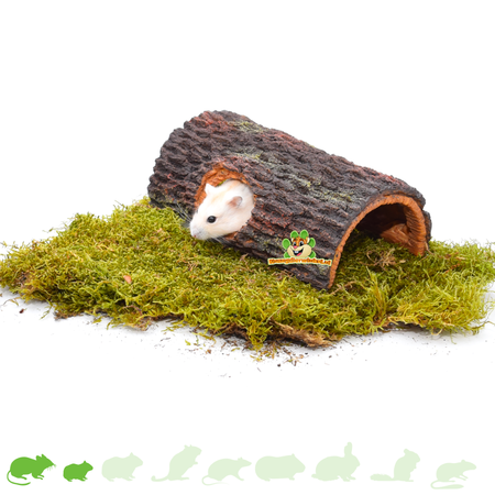 Brauner Baumstamm für Nagetiere!