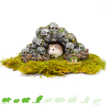 Grotte du crâne pour hamsterscaping 24 cm