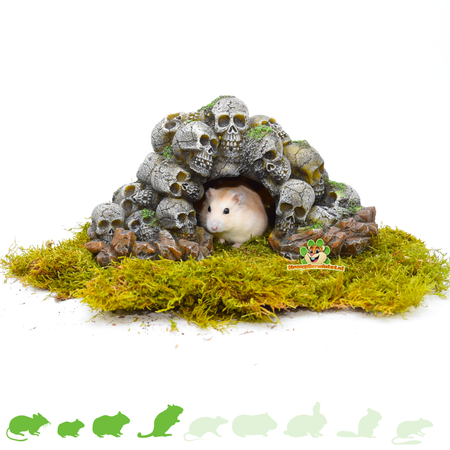 Grotte du crâne pour hamsterscaping 24 cm