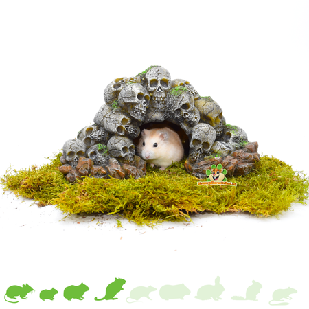 Hamsterscaping Schedel Grot 24 cm