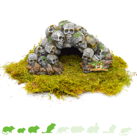 Cueva con forma de calavera de Hamsterscaping para hámsteres y jerbos