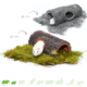 Brown tree trunk for hamsterscaping and gerbilscaping