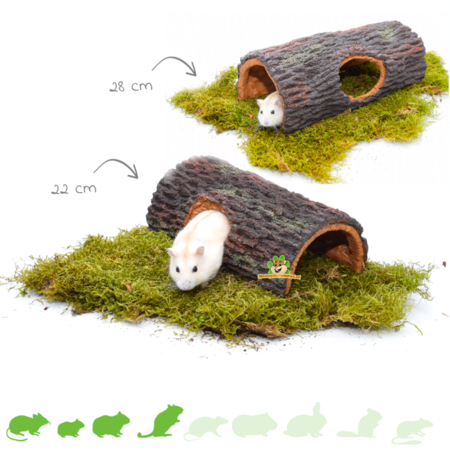Brown Tree Trunk for Rodents!