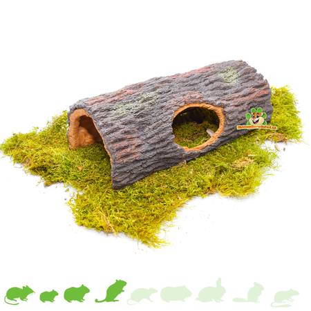 Brown Tree Trunk for Rodents!