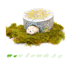 Hamsterscape Stenen Berg