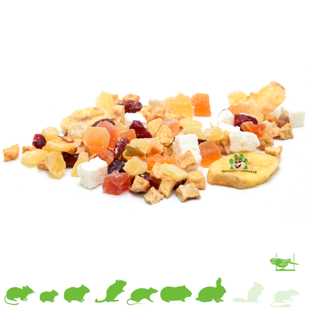 Knaagdierwinkel® Mezcla de frutas para roedores y aves
