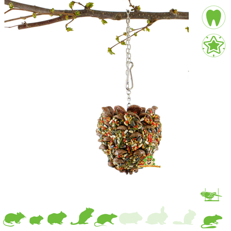 JR Farm Szyszki sosnowe XL