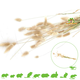 Knaagdier Kruidenier Cola de liebre, 100 gramos para roedores y aves