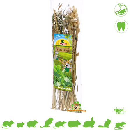 JR Farm Kräuterernte Dinkel, Kümmel und Kanariensaat