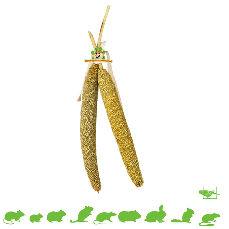 JR Farm Perlhirse für Nagetiere und Vögel