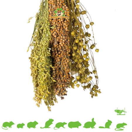 JR Farm Pflücken und Fliegen Ernten