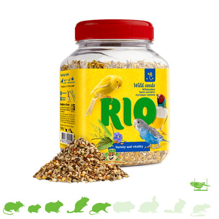 Mealberry Mezcla de semillas silvestres RIO para roedores y pájaros