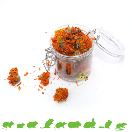 Knaagdierwinkel® Weck jar 500 ml for rodents & rabbits!