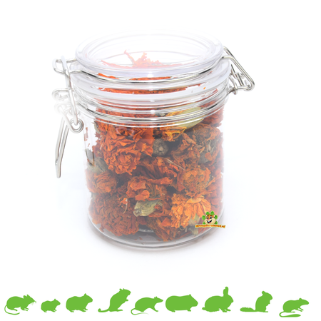 Knaagdierwinkel® ¡Tarro Weck de 500 ml para roedores y conejos!