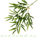 Planta Artificial Colgante Bambú 65 cm
