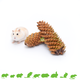 Elmato Pine cone 2 pieces for Rodents & Rabbits!