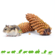 Elmato Pine cone 2 pieces for Rodents & Rabbits!