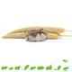 JR Farm Mijo perla para roedores y aves