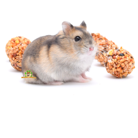 Vitakraft Rollinis Nagetier-Waldfrüchte