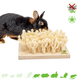 Bunny Nature ¡Tabla para olfatear con cuerda de sisal para roedores y conejos!