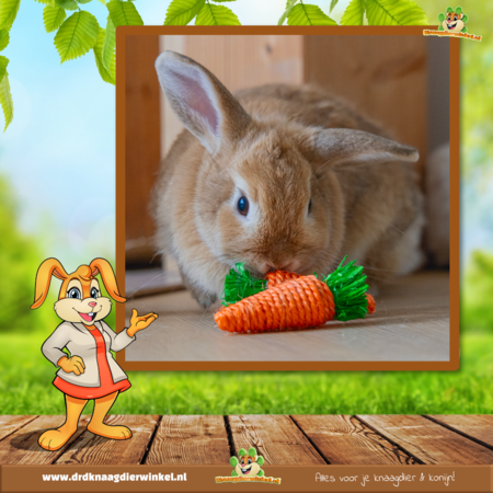 Rabbits Foraging Mat Seagrass with Toys 30.5 cm