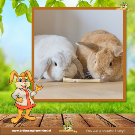 Rabbits Foraging Mat Seagrass with Toys 30.5 cm