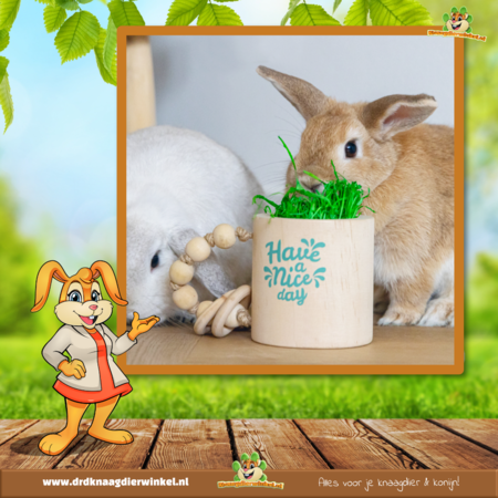 Jouet en bois "Have a Nice Day" 16,5 cm