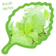 Knaagdier Kruidenier Fresh BIO Melissa Plant