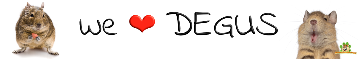 Degu-Webshop