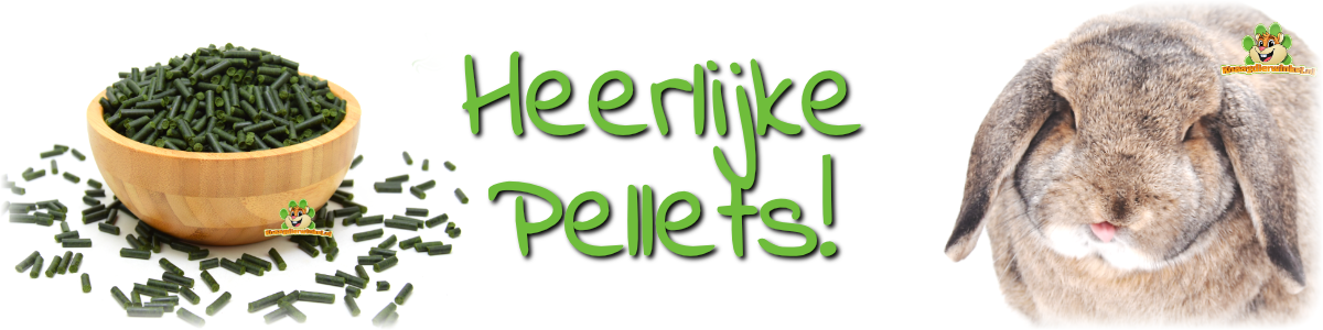 banner Knaagdier Kruidenier Kruiden Basilicum Pellets - Gezonde basilicum pellets voor cavia's, konijnen, chinchilla's, degoes - Natuurlijke snack voor herbivore knaagdieren