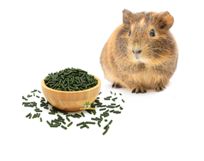 Cavia Pellets