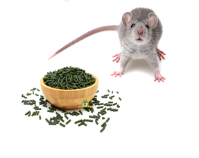 Pellets para ratas