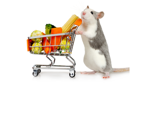 Rat de fruits et légumes secs