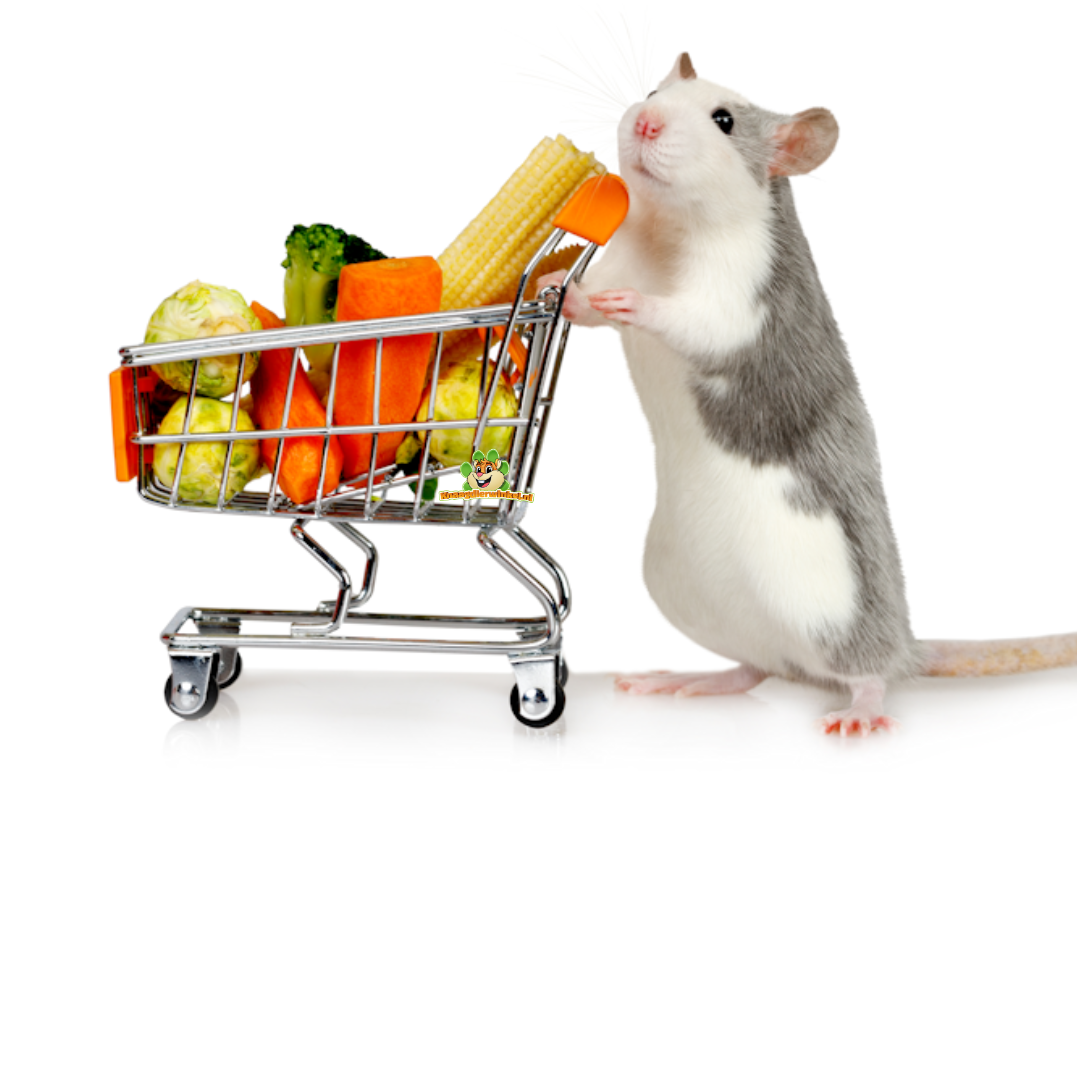 Suszone warzywa i owoce dla oswojonych szczurów