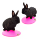 Scratch and Newton Icepod for Rabbits and Rodents