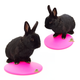 Scratch and Newton Icepod pour lapins et rongeurs