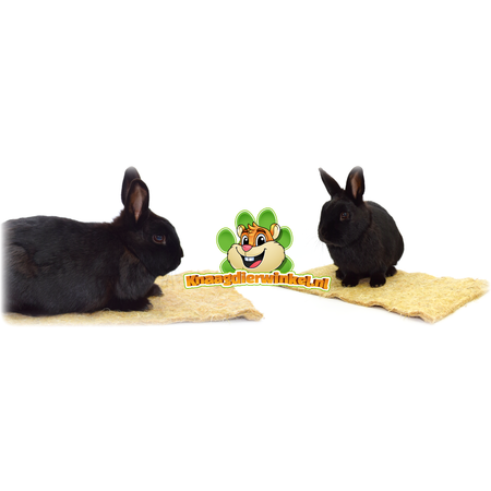 Hugro Hanfmatte für Nagetiere und Kaninchen!