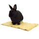 Tapis de chanvre pour rongeurs et lapins
